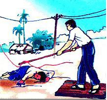 Ảnh minh họa từ Internet