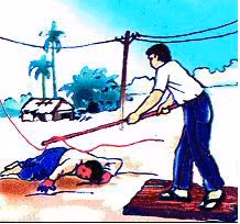 Ảnh minh họa từ Internet