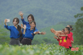Đồi chè Sơn Tây - điểm đến du lịch xanh