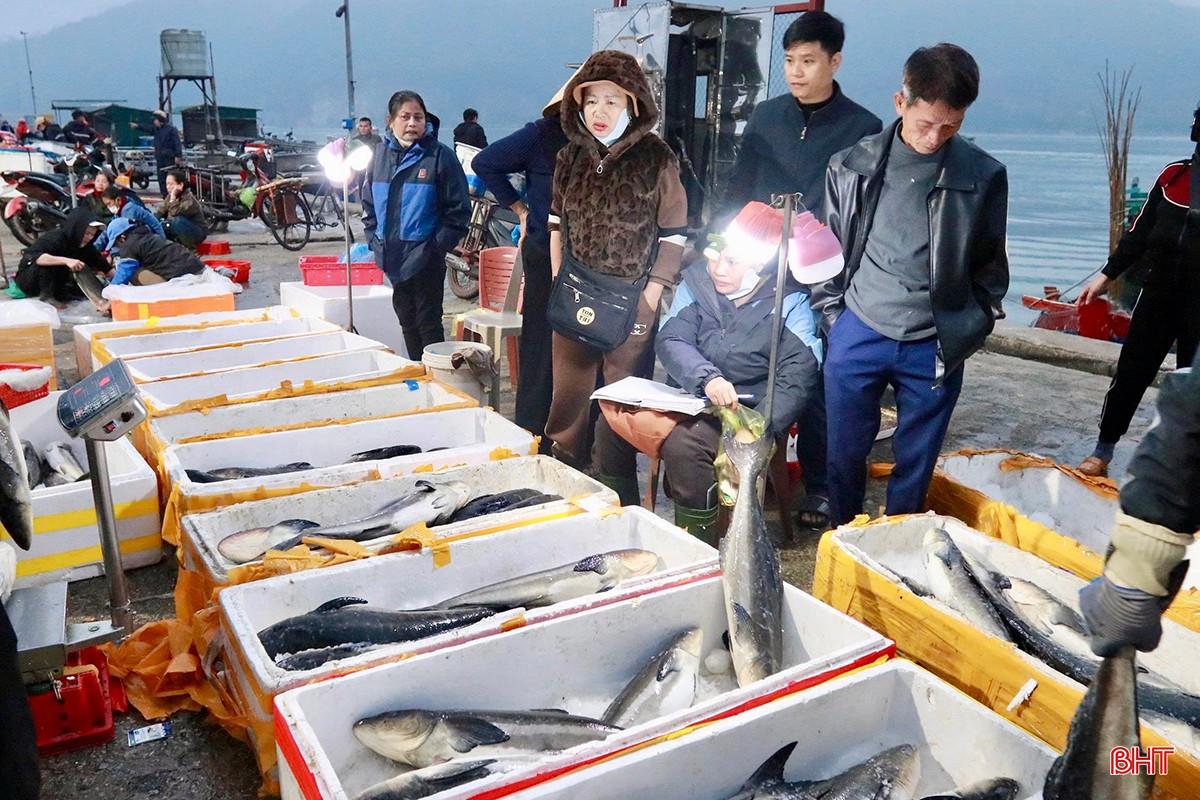 Anh Hoàng Văn Bình (thôn Giang Hà, xã Lộc Hà) phấn khởi: “Ra khơi trong 2 ngày, tàu tôi đánh được hơn 5 tạ cá các loại. Anh em thuyền viên rất phấn khởi vì chuyến biển cuối cùng thắng lớn, có thêm kinh phí trang trải và mang niềm vui về cho gia đình trước thềm năm mới”.