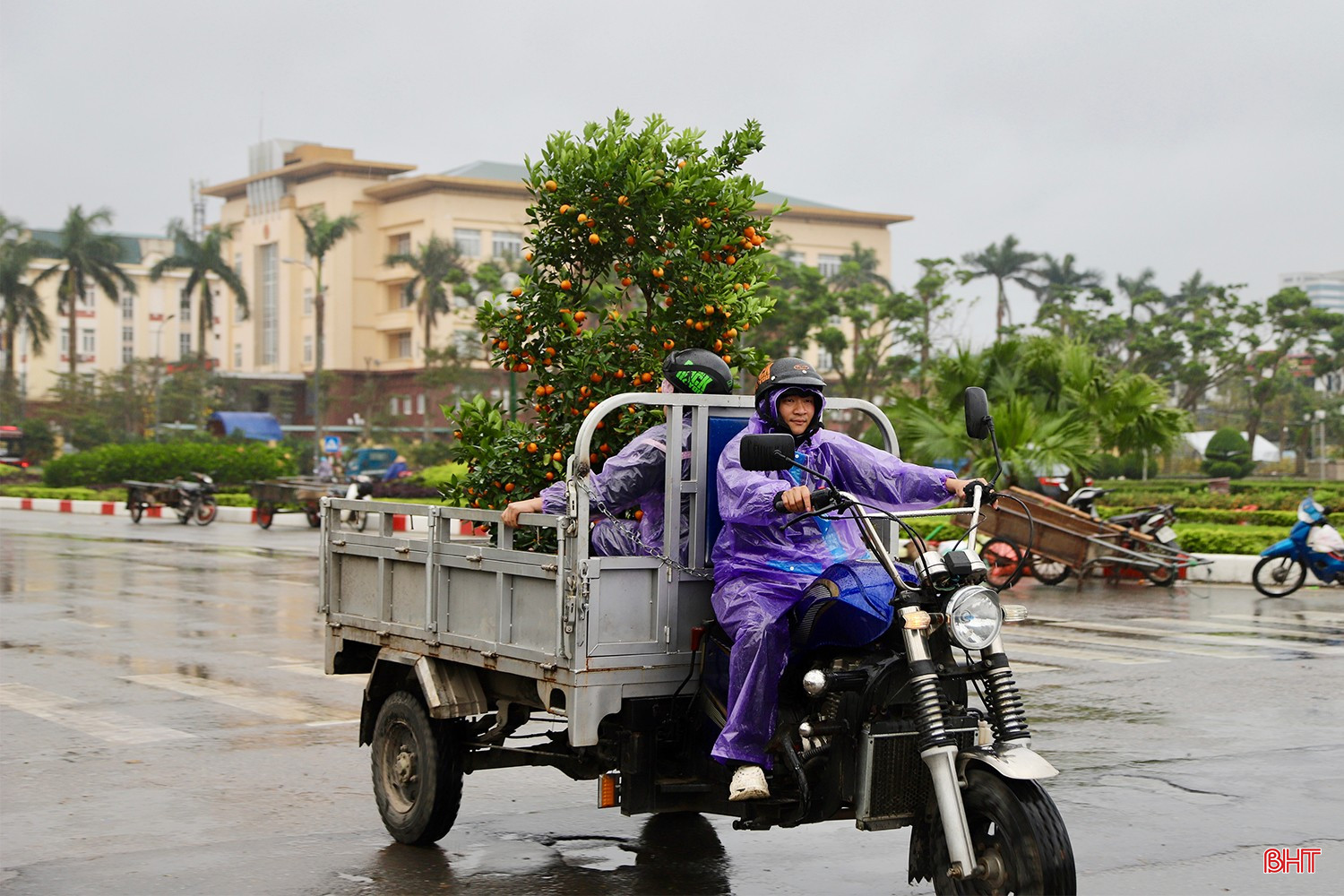 Thu nhập của những người làm nghề vận chuyển hoa, cây cảnh sụt giảm do thị trường tiêu thụ giảm.
