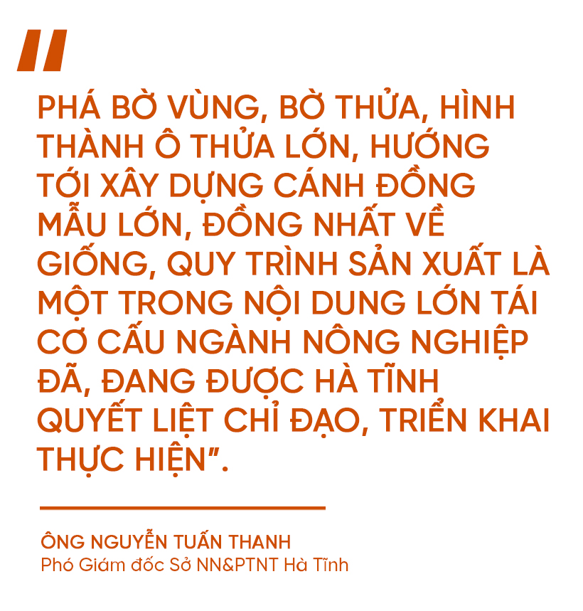 Phá bờ thửa nhỏ hình thành ô thửa lớn - cuộc cách mạng trong nông nghiệp Hà Tĩnh (bài 3): Sớm tháo gỡ những rào cản