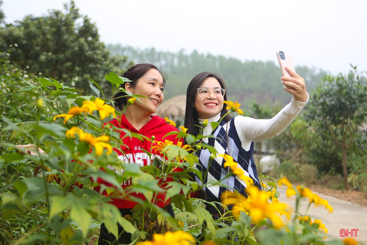 ផ្លូវនានាដែលមានផ្កាព្រៃពណ៌លឿងស្រស់ឆើតឆាយតម្រៀបគ្នាបង្កើតជាចំណុចលេចធ្លោពិសេសមួយសម្រាប់តំបន់ទេសចរណ៍អេកូឡូស៊ីដាបាក់ក្នុងអំឡុងចុងឆ្នាំ។ bqbht_br_a8.jpg