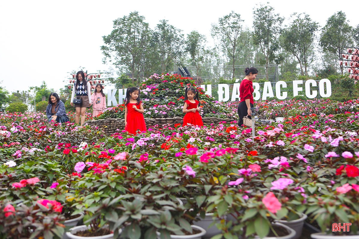 ផ្កាកំពុងរីកពេញទីនៅក្នុងសួនផ្កាកណ្តាលនៃតំបន់ទេសចរណ៍អេកូឡូស៊ីដាបាក់។ bqbht_br_a2.jpg