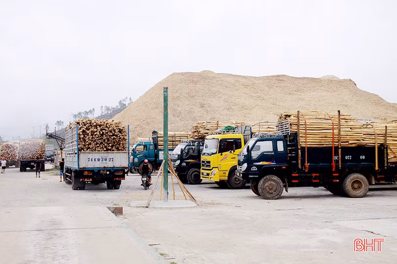 Hà Tĩnh hướng đến sản xuất nông nghiệp hiện đại, thích ứng biến đổi khí hậu