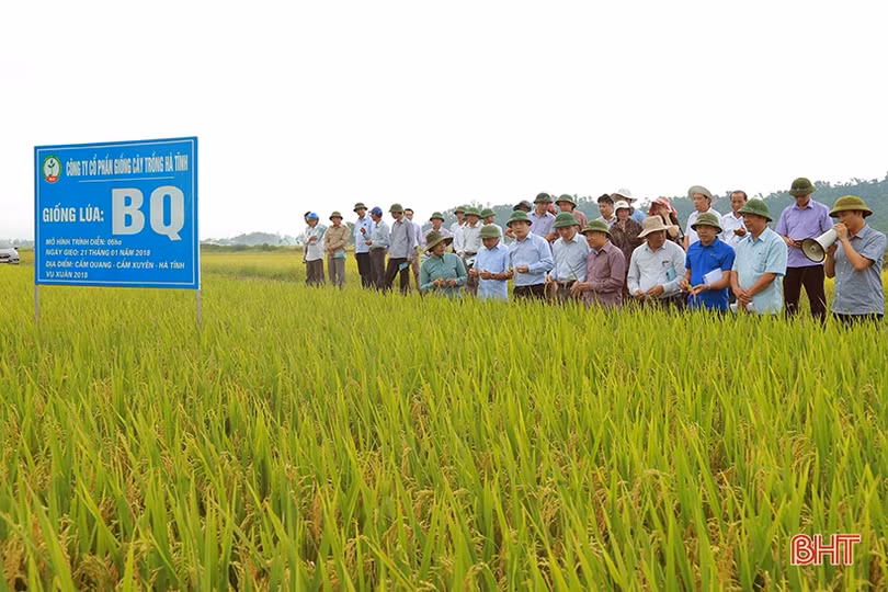 Hà Tĩnh hướng đến sản xuất nông nghiệp hiện đại, thích ứng biến đổi khí hậu