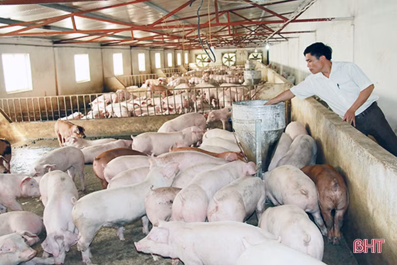 Hà Tĩnh hướng đến sản xuất nông nghiệp hiện đại, thích ứng biến đổi khí hậu