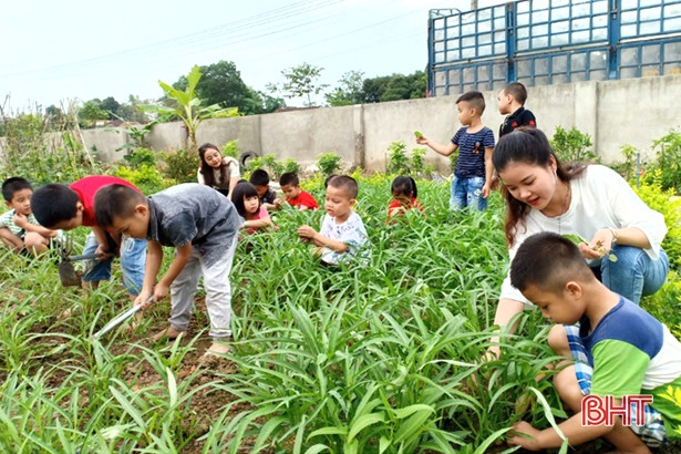 Mướt mắt vườn rau bán trú ở Trường Mầm non Yên Lộc