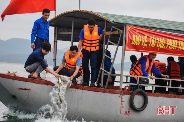 Tuổi trẻ Cẩm Xuyên thắp nến tưởng nhớ, tri ân Tổng Bí thư Lê Duẩn