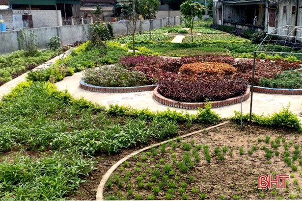 Mướt mắt vườn rau bán trú ở Trường Mầm non Yên Lộc