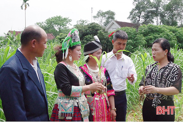 Người dân bản Thoọng Pẹ tham quan khu dân cư mẫu, vườn mẫu tại Hà Tĩnh