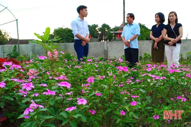 Mướt mắt vườn rau bán trú ở Trường Mầm non Yên Lộc