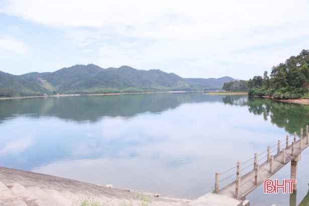 Ruộng đồng no nước “đón” lúa trổ bông