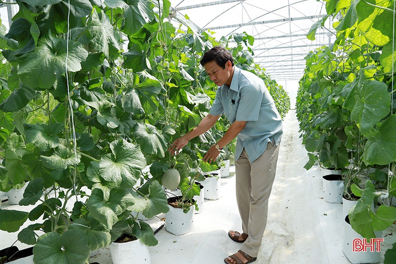 Hà Tĩnh hướng đến sản xuất nông nghiệp hiện đại, thích ứng biến đổi khí hậu ảnh 5 Hà Tĩnh hướng đến sản xuất nông nghiệp hiện đại, thích ứng biến đổi khí hậu