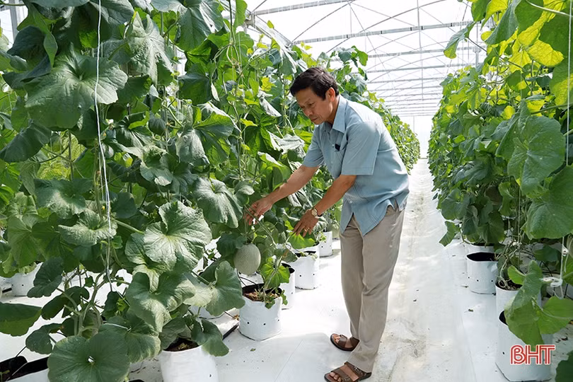 Hà Tĩnh hướng đến sản xuất nông nghiệp hiện đại, thích ứng biến đổi khí hậu ảnh 5 Hà Tĩnh hướng đến sản xuất nông nghiệp hiện đại, thích ứng biến đổi khí hậu