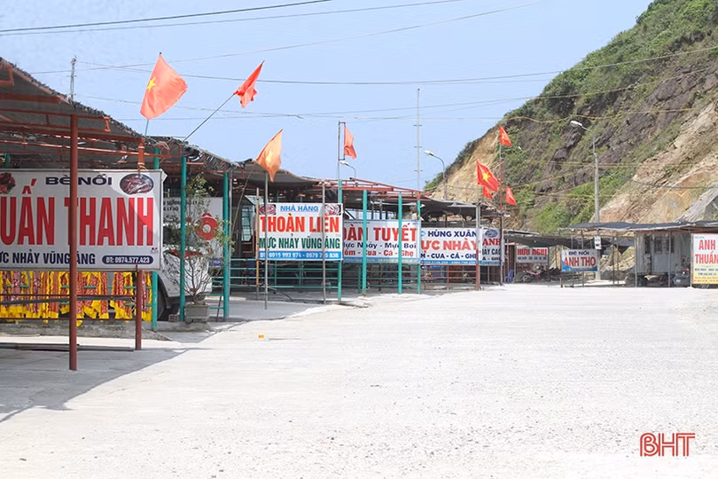 Lao xao mùa mực “nhảy” ở Hà Tĩnh