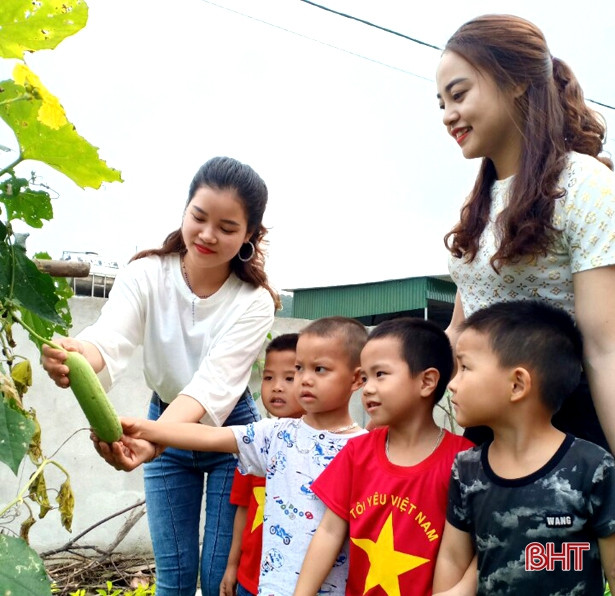 Mướt mắt vườn rau bán trú ở Trường Mầm non Yên Lộc