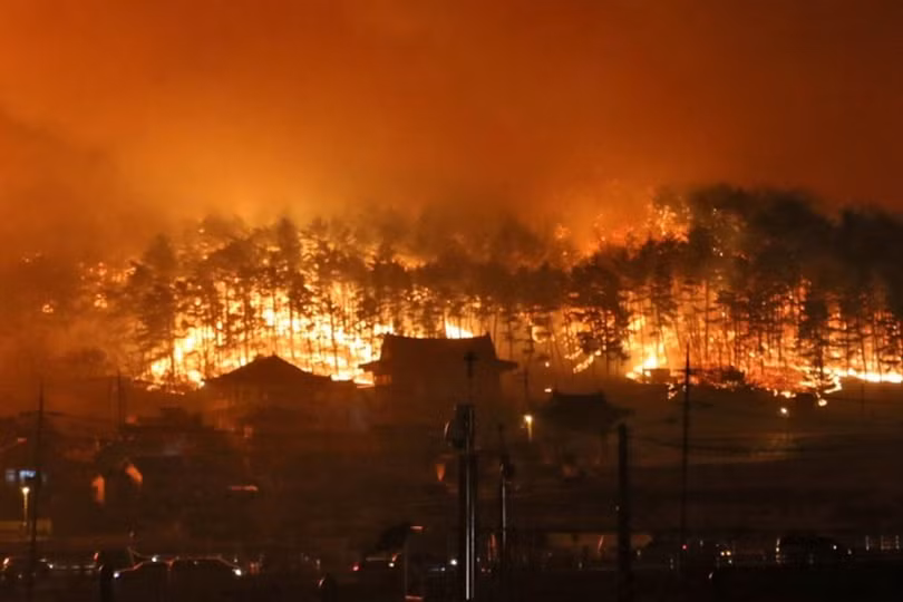 Cháy rừng dữ dội tại Hàn Quốc, hàng nghìn người sơ tán