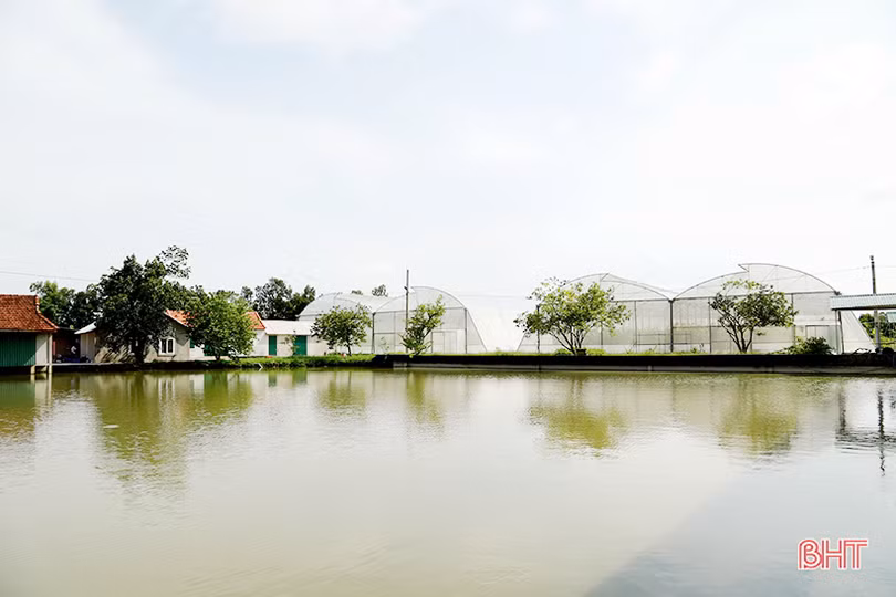 Hà Tĩnh hướng đến sản xuất nông nghiệp hiện đại, thích ứng biến đổi khí hậu