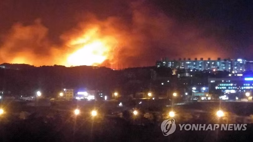 Cháy rừng dữ dội tại Hàn Quốc, hàng nghìn người sơ tán