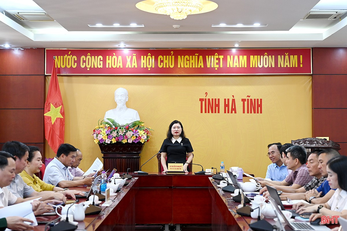 Đồng chí Nguyễn Thị Nguyệt - Phó Chủ tịch UBND tỉnh, Trưởng ban Chỉ đạo Đại hội TDTT toàn tỉnh lần thứ X năm 2026 chủ trì cuộc họp.