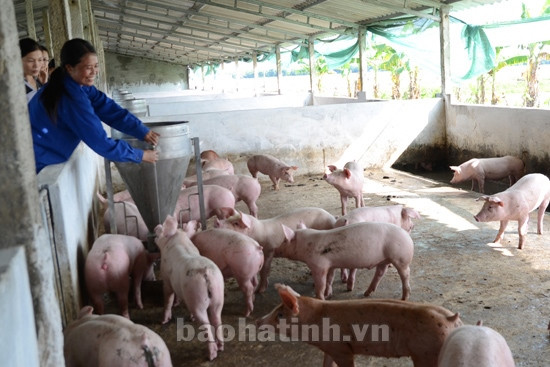 Nâng cao vị thế người phụ nữ ảnh 1 Nâng cao vị thế người phụ nữ ảnh 1