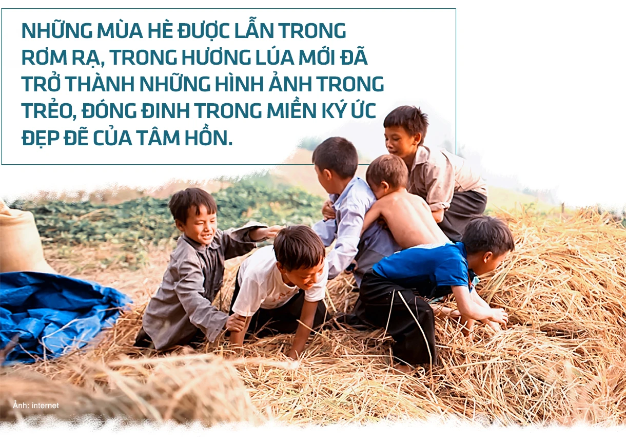 Cánh đồng mùa gặt…