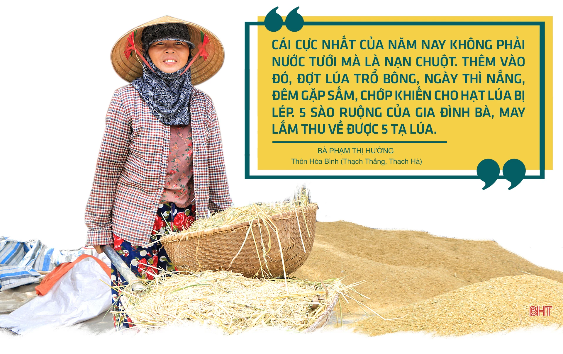 Cánh đồng mùa gặt…