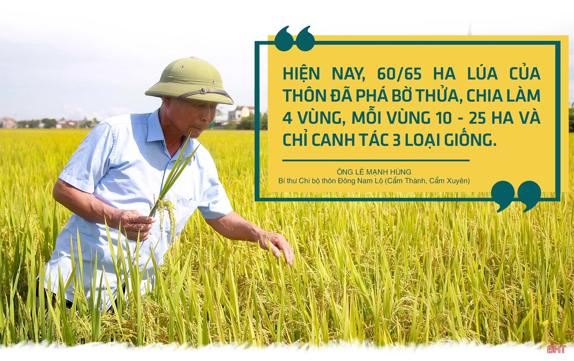 Cánh đồng mùa gặt…