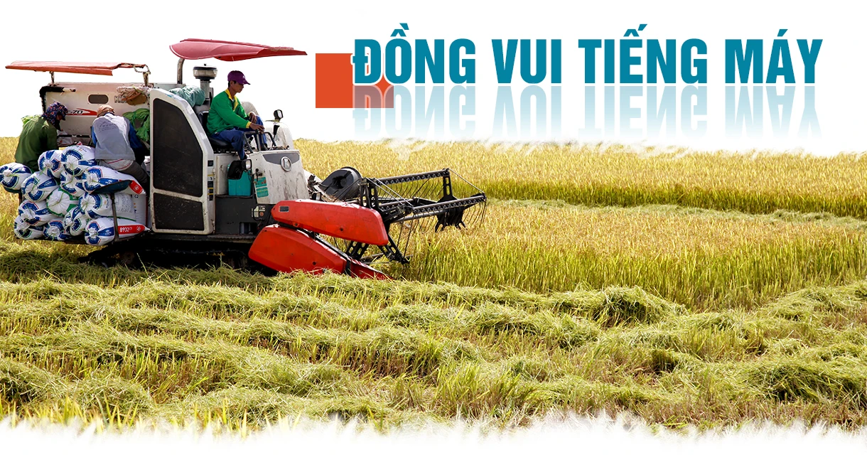 Cánh đồng mùa gặt…