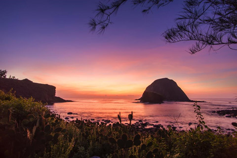 Ngắm san hô trên cạn đẹp ảo diệu tại Phú Yên