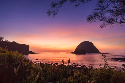 Ngắm san hô trên cạn đẹp ảo diệu tại Phú Yên