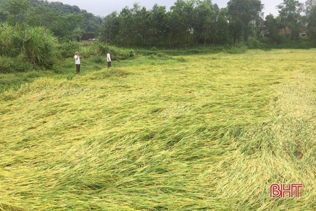 Trận lốc xoáy kinh hoàng thổi bay khoảng 6 tỷ đồng ở Hà Tĩnh