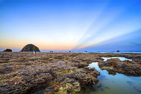 Ngắm san hô trên cạn đẹp ảo diệu tại Phú Yên