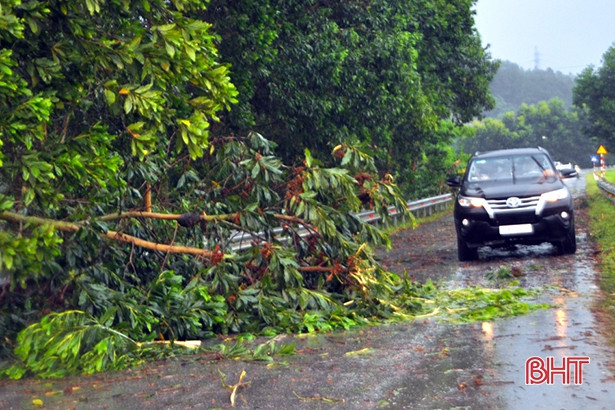 Giông lốc phá hại hàng trăm ha lúa, hoa màu ở huyện miền núi Hà Tĩnh