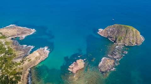 Ngắm san hô trên cạn đẹp ảo diệu tại Phú Yên