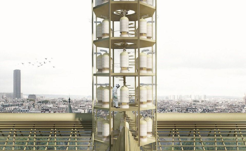 Phục chế Nhà thờ Đức Bà trở thành ngôi nhà xanh