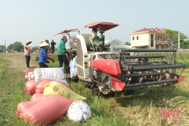Năng suất lúa vụ xuân ở Đức Thọ đạt 62 tạ/ha