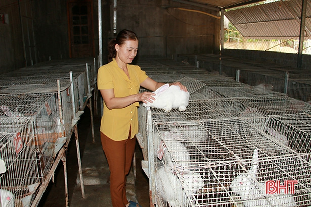 100% người nghèo, cận nghèo Hà Tĩnh được cấp thẻ bảo hiểm y tế