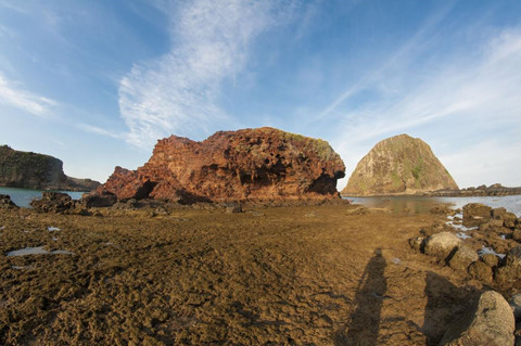 Ngắm san hô trên cạn đẹp ảo diệu tại Phú Yên