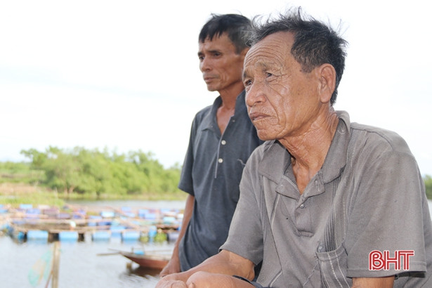 Thêm nhiều cá chẽm lồng bè chết chưa rõ nguyên nhân