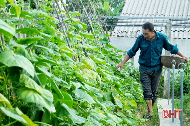 Khu vườn hoa trái bốn mùa của trưởng thôn ở Hà Tĩnh