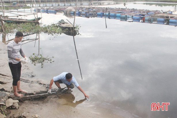 Chuyên gia lấy mẫu, tìm nguyên nhân thủy sản chết hàng loạt ở Hà Tĩnh