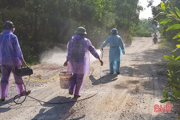 Thiên Lộc tiêu hủy 11 con lợn dương tính với dịch tả lợn châu Phi