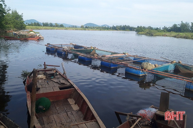 Tiếp tục phát hiện cá nuôi lồng bè chết tại Cẩm Xuyên