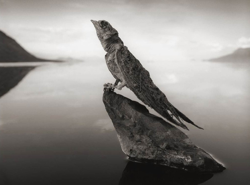 Hồ nước tử thần hóa đá động vật rơi xuống