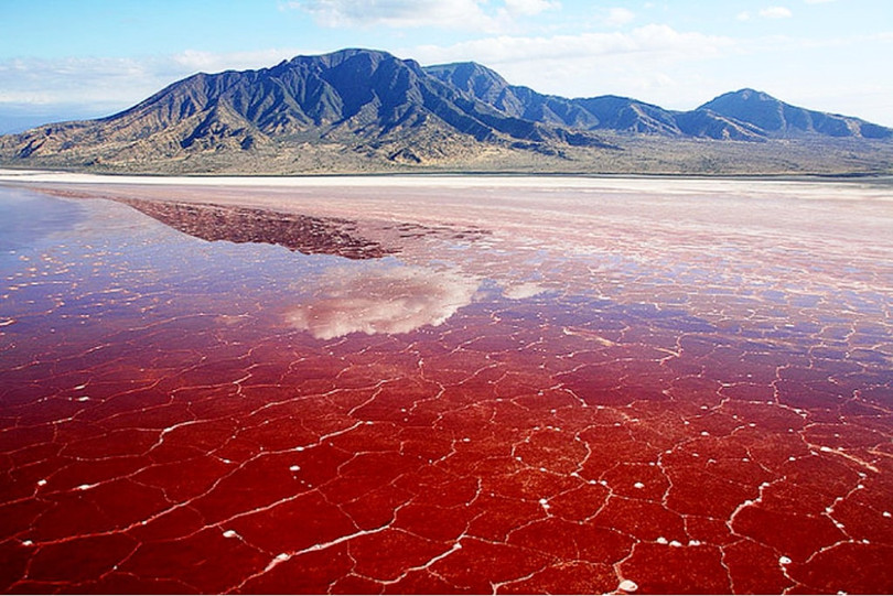 Hồ nước tử thần hóa đá động vật rơi xuống