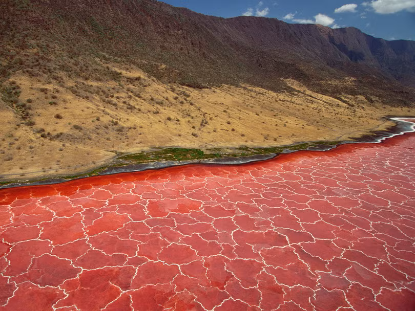 Hồ nước tử thần hóa đá động vật rơi xuống