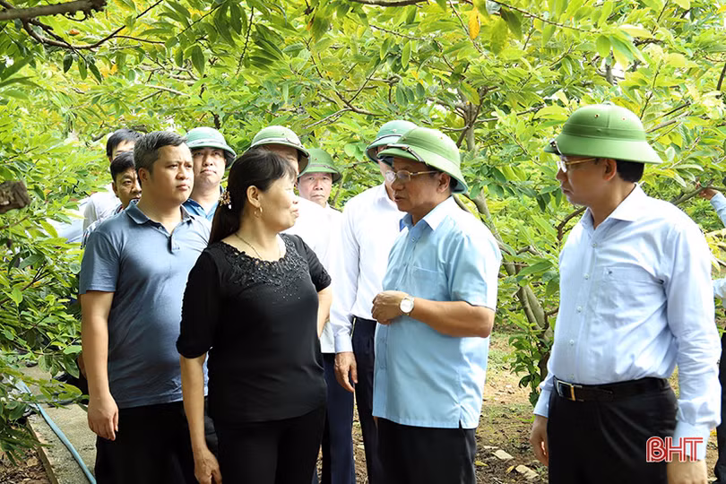 Hà Tĩnh có thêm nhiều kinh nghiệm quý từ xây dựng nông thôn mới của Quảng Ninh