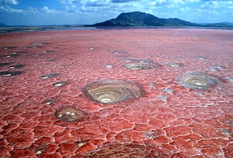 Hồ nước tử thần hóa đá động vật rơi xuống